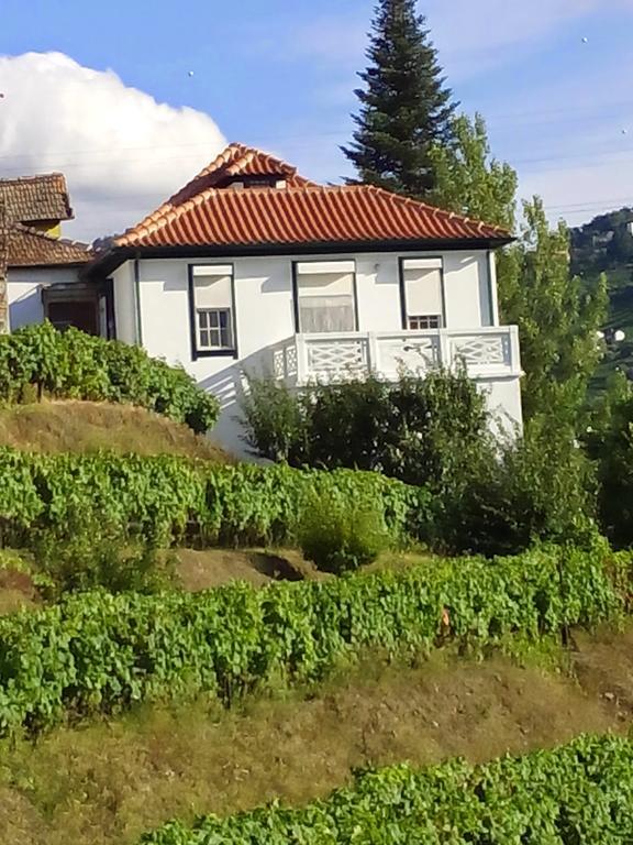 Bed and Breakfast Quinta Do Fojo Lamego Exteriér fotografie