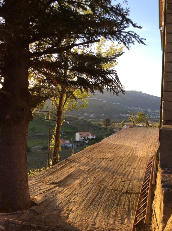 Bed and Breakfast Quinta Do Fojo Lamego Exteriér fotografie