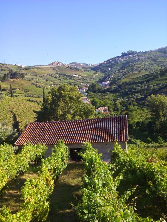 Bed and Breakfast Quinta Do Fojo Lamego Exteriér fotografie